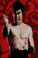 Sonny Chiba