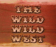 Wild Wild West