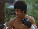 Bruce Lee
    Ultimate Fighter